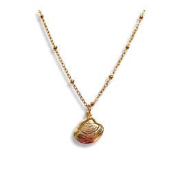 Seriously Twisted Jewellery - sea shell necklace  -  Gold 